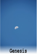 Genesis